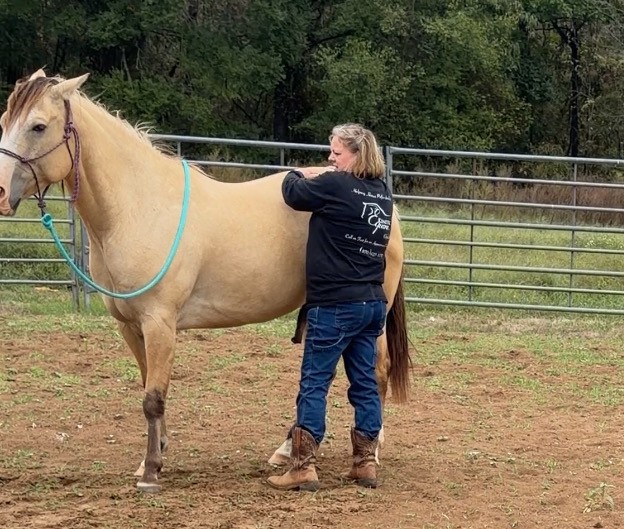 Stacy McCullar provides hands-on care to a buckskin horse in a fenced arena.