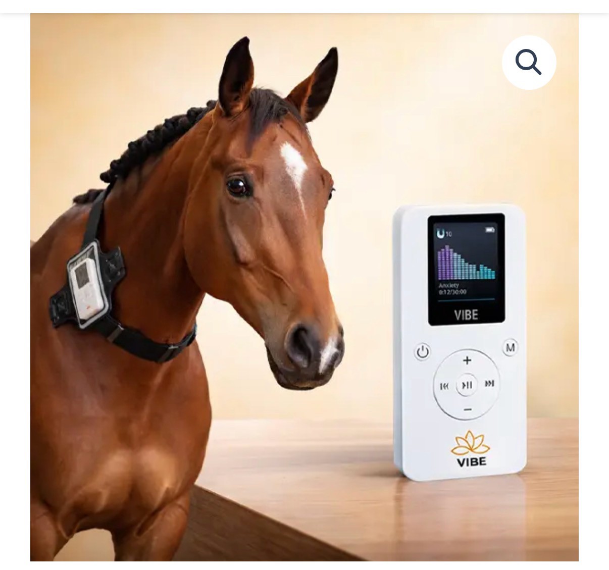 Horse wearing a VIBE harness beside the VIBE unit